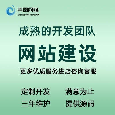 网站定制开发