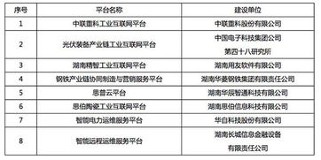 建设知名平台 湖南省第一批省级工业互联网平台发布